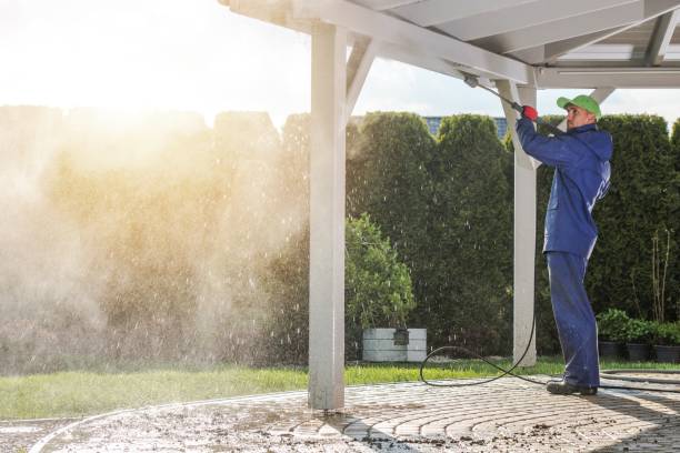 Best Animal Enclosure Cleaning  in Nocona, TX